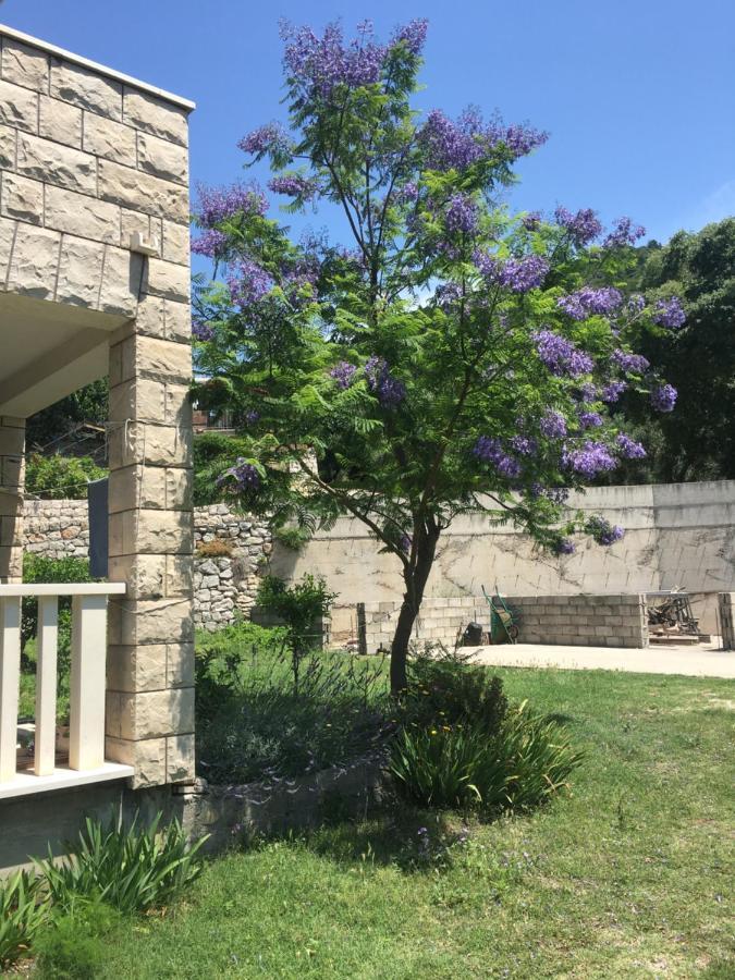 Apartmani Domenika Žuljana Εξωτερικό φωτογραφία